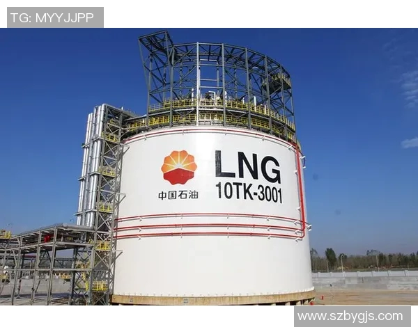 独家解析LNG耐力对比及其在能源市场中的影响与前景