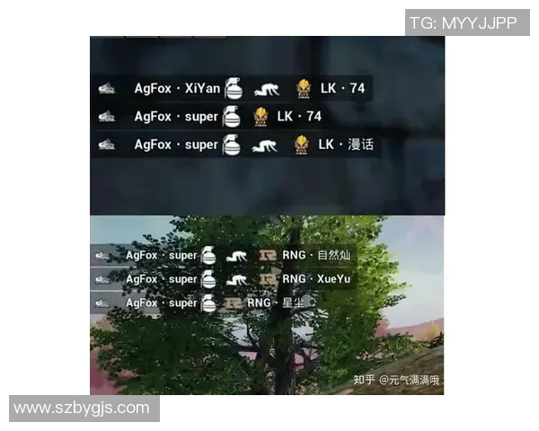 esports数据和平精英战术RNG阵地战体系的深度解析与实战应用探讨 esports数据和平精英战术RNG阵地战体系的深度解析与实战应用探讨