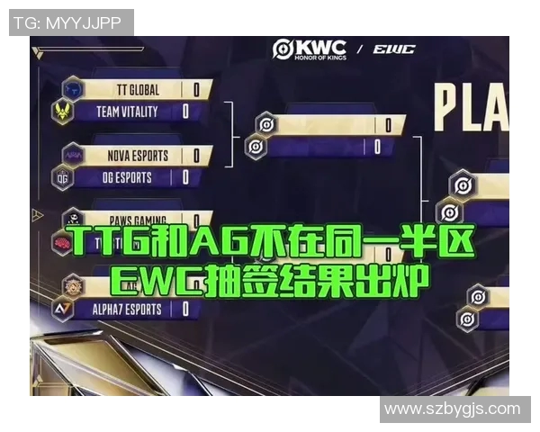 esports最新数据王者荣耀深度解析FPX战队的团队配合与战术策略