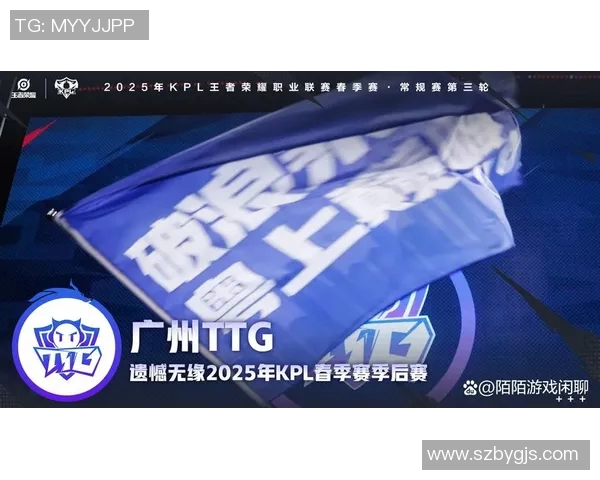 电竞新闻深入分析王者荣耀TES战队的比赛经验与策略探讨